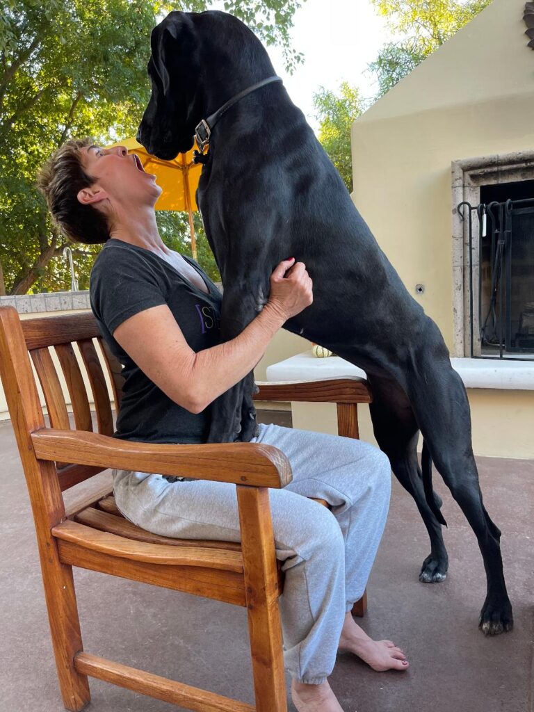 Animals Are Key to Connecting People